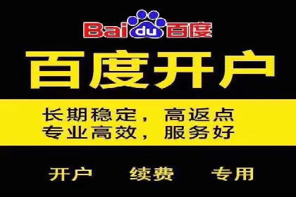 实战技巧：竞价推广案例解析与优化策略